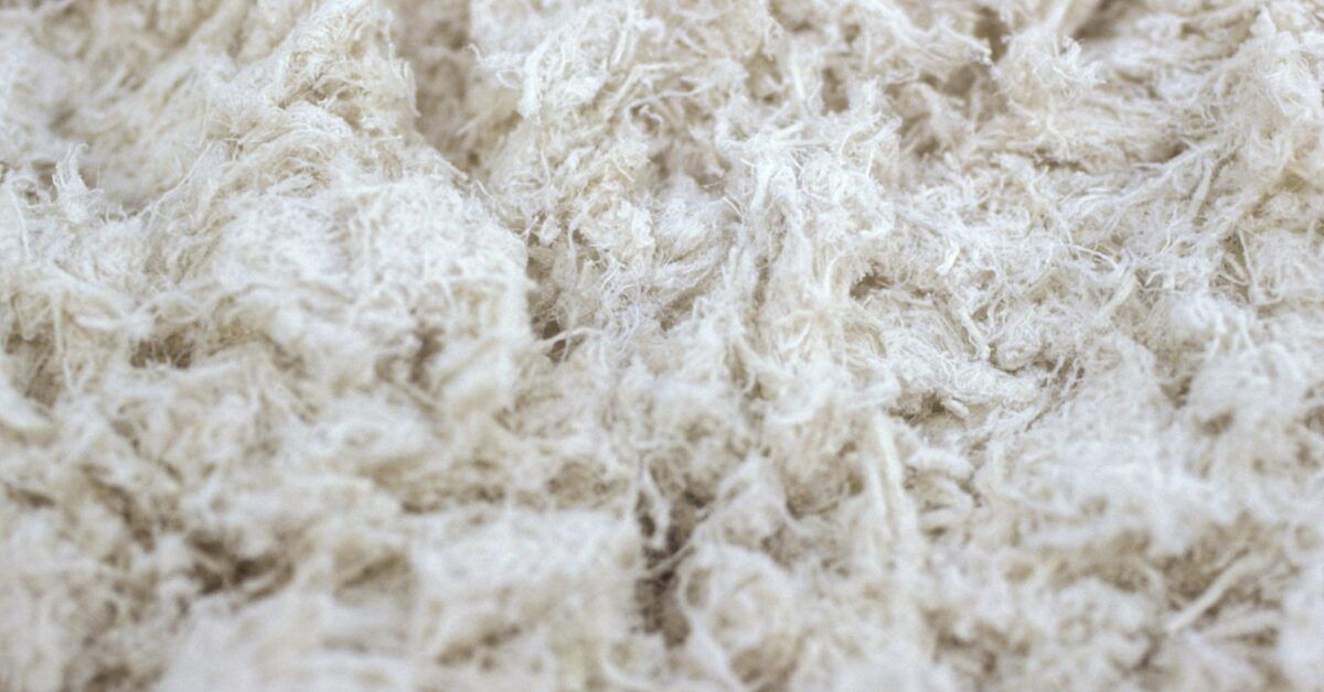 Asbestos fiber