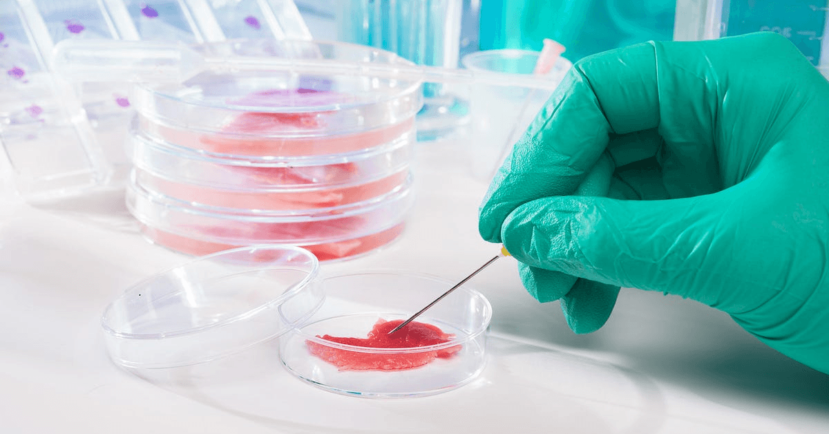 lab workers testing proteins