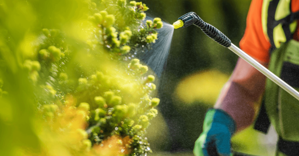 weed killer pesticide