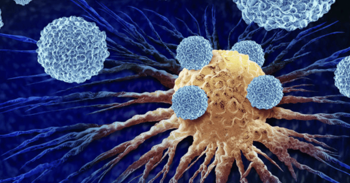 immunotherapy attacking mesothelioma cancer cells